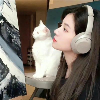 赏金猎猪